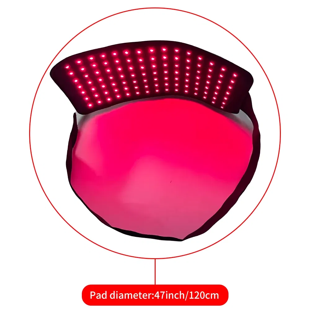 Red Light Therapy Waist Wrap | 660nm/850nm LED Belt with Timer for Pain Relief